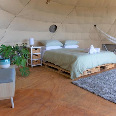 ホテル 1 Waipu Off-Grid Eco Seaview Geodesic Glamping Dome エクステリア 写真