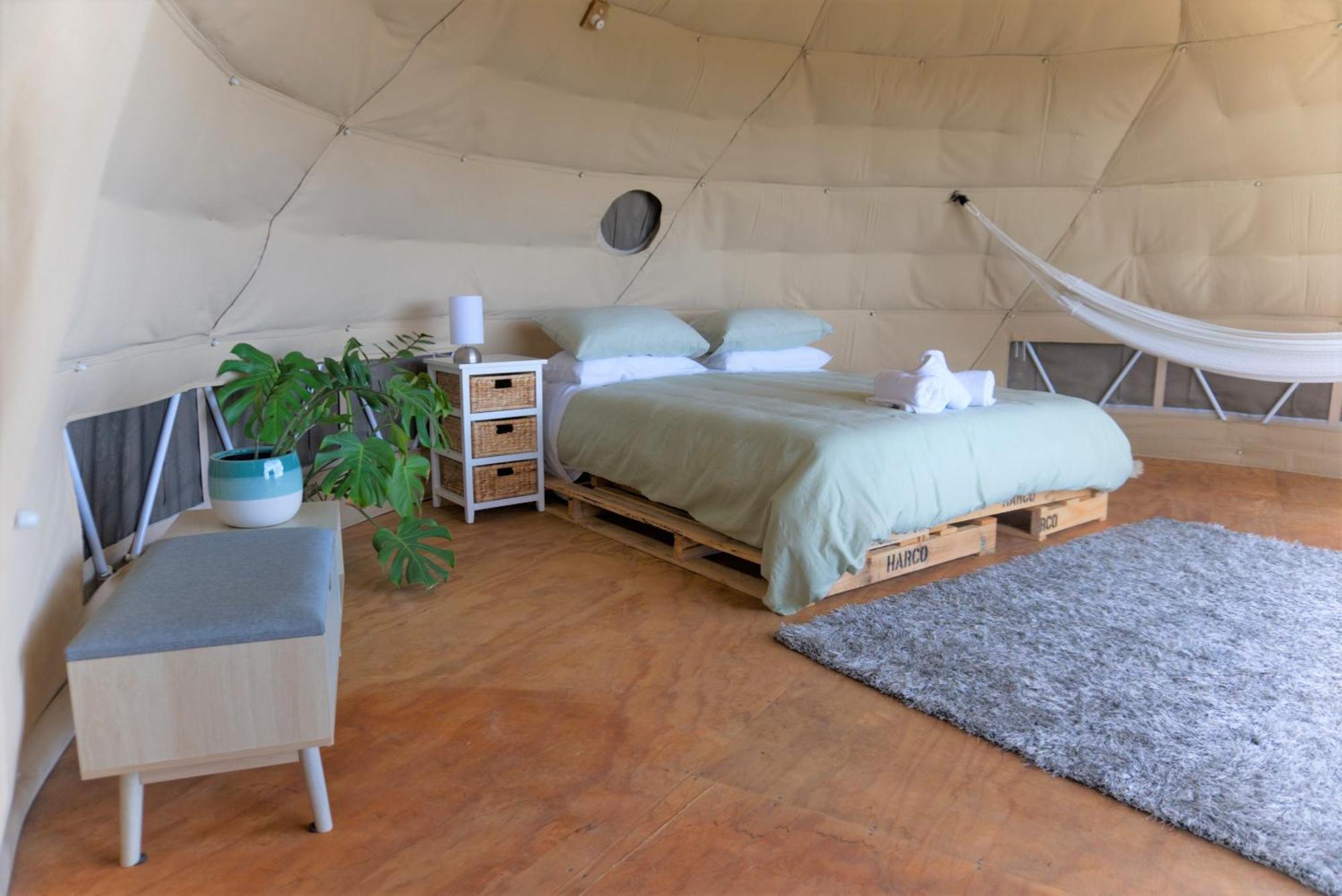 ホテル 1 Waipu Off-Grid Eco Seaview Geodesic Glamping Dome エクステリア 写真