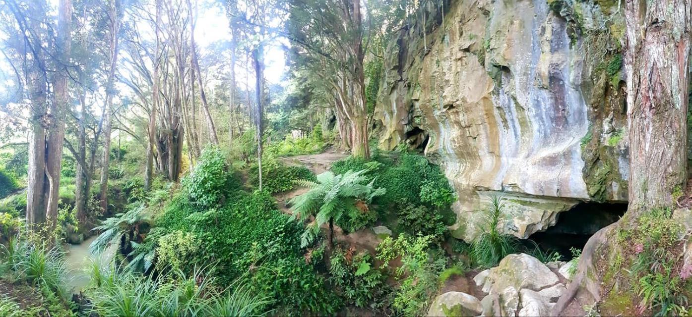 ホテル 1 Waipu Off-Grid Eco Seaview Geodesic Glamping Dome エクステリア 写真