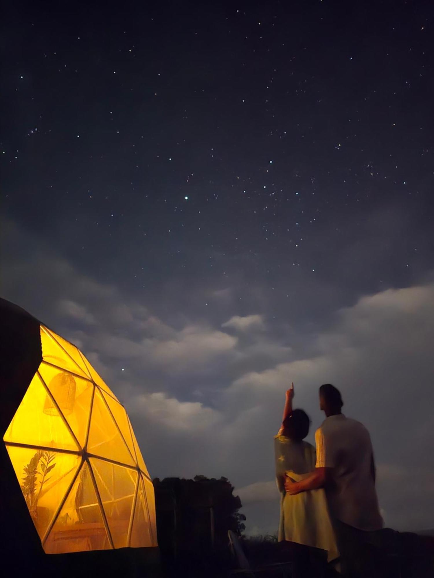 ホテル 1 Waipu Off-Grid Eco Seaview Geodesic Glamping Dome エクステリア 写真